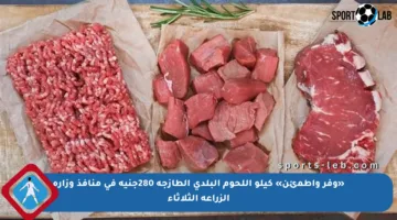 «وفر واطمئن» كيلو اللحوم البلدي الطازجة 280جنيه في منافذ وزارة الزراعة الثلاثاء